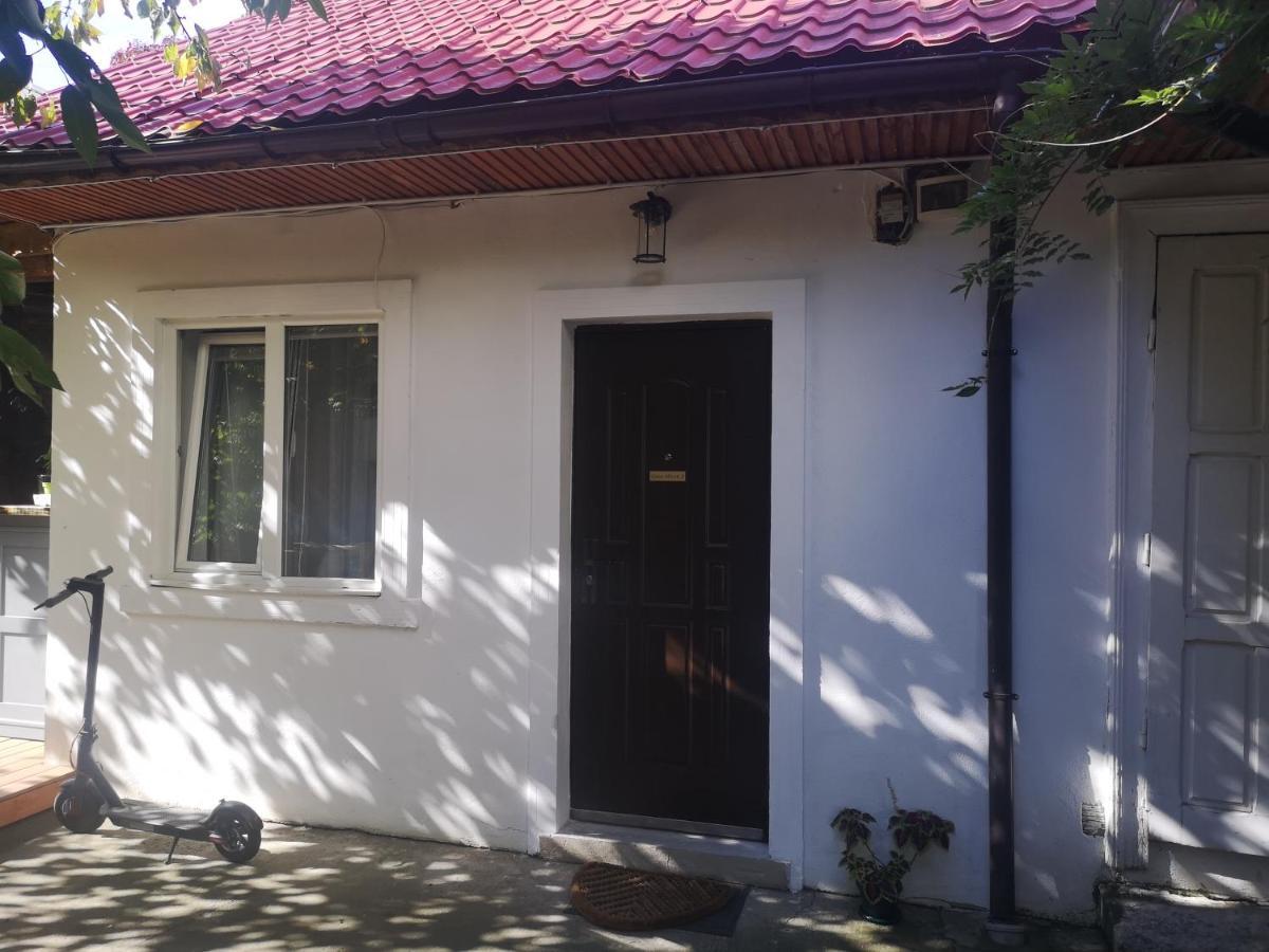 טימישוארה Casa Miron Unirii 3Strada Matei Corvin Apartament מראה חיצוני תמונה